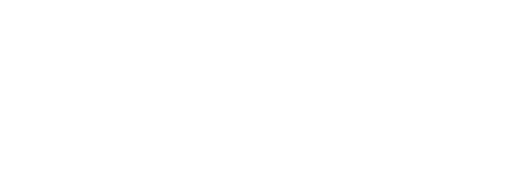 LOGO Sparkfe Clear logo & Background